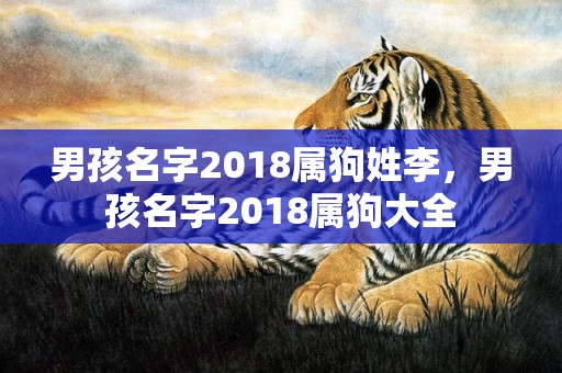 男孩名字2018属狗姓李，男孩名字2018属狗大全
