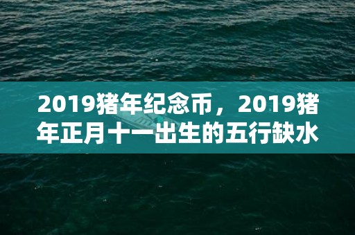 2019猪年纪念币，2019猪年正月十一出生的五行缺水女孩起什么名字好？