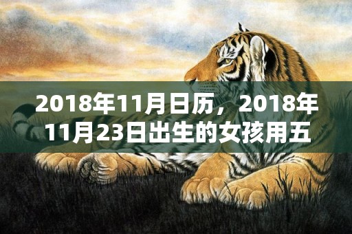 2018年11月日历，2018年11月23日出生的女孩用五行取名，孩子命运好吗？