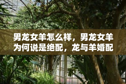 男龙女羊怎么样，男龙女羊为何说是绝配，龙与羊婚配指数如何