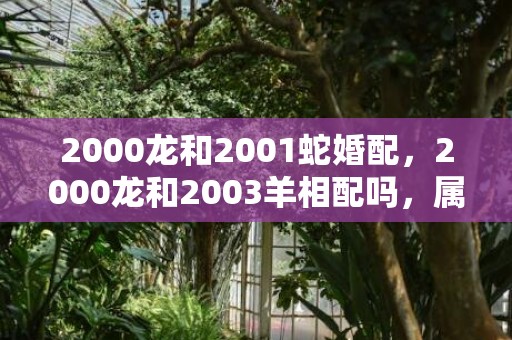 2000龙和2001蛇婚配，2000龙和2003羊相配吗，属龙的和属羊的婚配如何