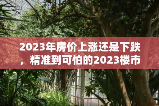 2023年房价上涨还是下跌，精准到可怕的2023楼市预言