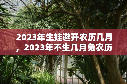 2023年生娃避开农历几月，2023年不生几月兔农历