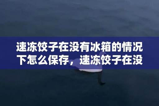 速冻饺子在没有冰箱的情况下怎么保存，速冻饺子在没有冰箱的情况下可以放多久