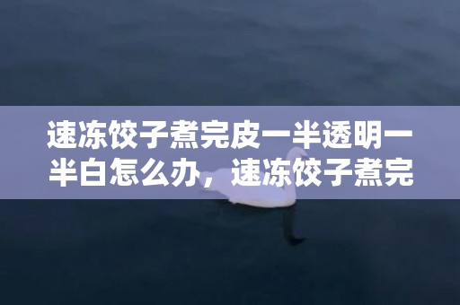 速冻饺子煮完皮一半透明一半白怎么办，速冻饺子煮完皮一半透明一半白能吃吗