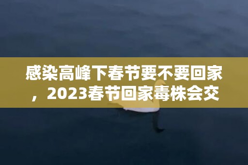 感染高峰下春节要不要回家，2023春节回家毒株会交叉感染吗
