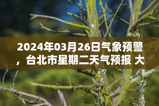 2024年03月26日气象预警，台北市星期二天气预报 大部小雨转阴