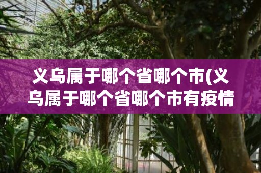 义乌属于哪个省哪个市(义乌属于哪个省哪个市有疫情吗)
