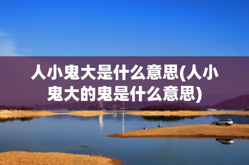 人小鬼大是什么意思(人小鬼大的鬼是什么意思)
