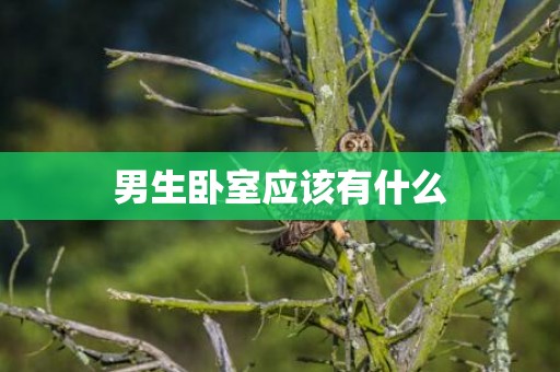男生卧室应该有什么