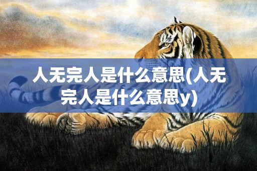 人无完人是什么意思(人无完人是什么意思y)