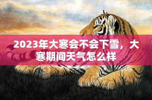 2023年大寒会不会下雪，大寒期间天气怎么样
