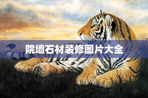 院墙石材装修图片大全