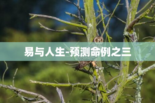 易与人生-预测命例之三