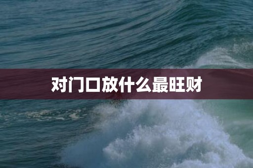 对门口放什么最旺财