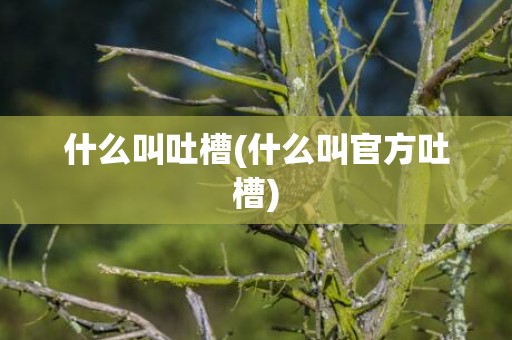 什么叫吐槽(什么叫官方吐槽)