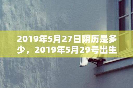2019年5月27日阴历是多少，2019年5月29号出生的双胞胎女孩起什么名字好听，五行属什么？