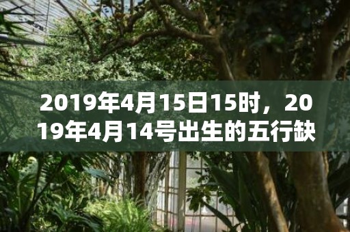 2019年4月15日15时，2019年4月14号出生的五行缺火女宝宝哪些起名好