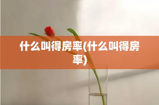 什么叫得房率(什么叫得房率)