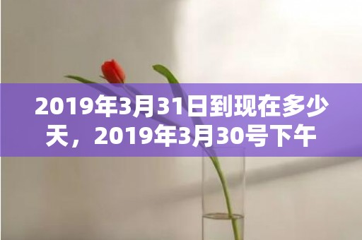 2019年3月31日到现在多少天，2019年3月30号下午出生的女孩起名字要注意什么