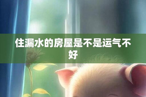 住漏水的房屋是不是运气不好