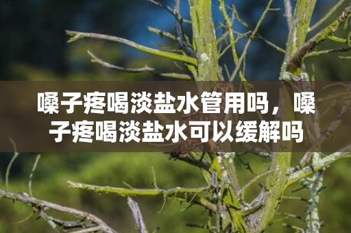嗓子疼喝淡盐水管用吗，嗓子疼喝淡盐水可以缓解吗