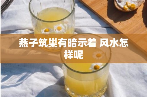 燕子筑巢有暗示着 风水怎样呢