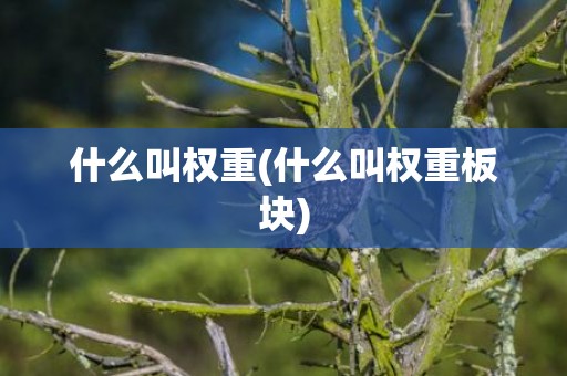 什么叫权重(什么叫权重板块)