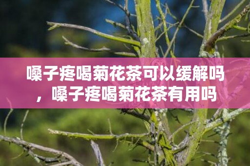 嗓子疼喝菊花茶可以缓解吗，嗓子疼喝菊花茶有用吗