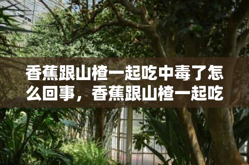 香蕉跟山楂一起吃中毒了怎么回事，香蕉跟山楂一起吃中毒了怎么解毒