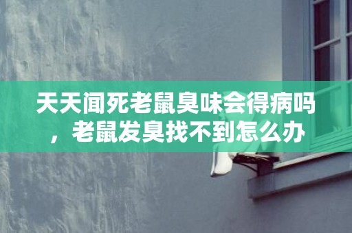 天天闻死老鼠臭味会得病吗，老鼠发臭找不到怎么办