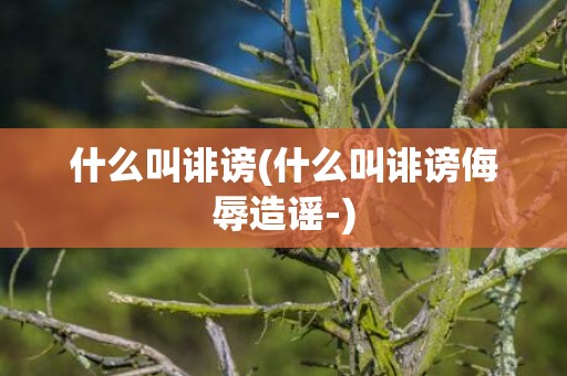 什么叫诽谤(什么叫诽谤侮辱造谣-)