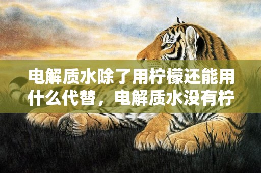 电解质水除了用柠檬还能用什么代替，电解质水没有柠檬怎么办