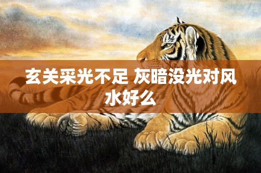 玄关采光不足 灰暗没光对风水好么