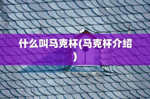 什么叫马克杯(马克杯介绍)