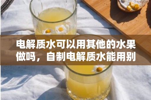 电解质水可以用其他的水果做吗，自制电解质水能用别的水果代替吗