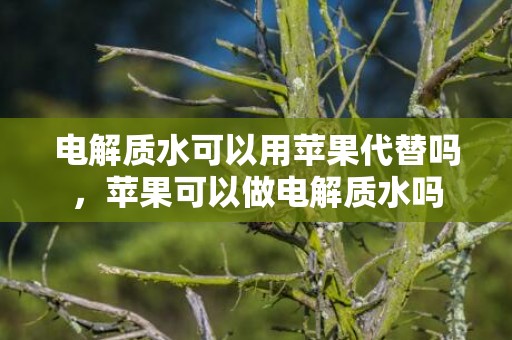 电解质水可以用苹果代替吗，苹果可以做电解质水吗