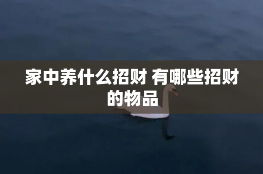 家中养什么招财 有哪些招财的物品
