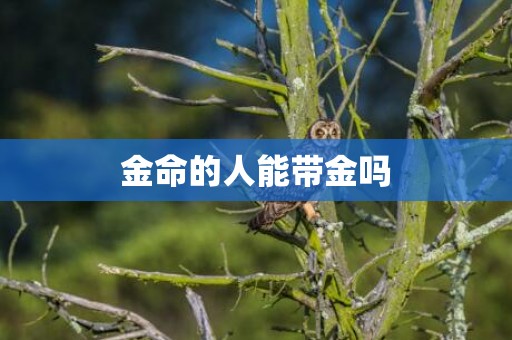 金命的人能带金吗