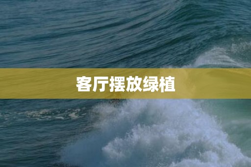 客厅摆放绿植