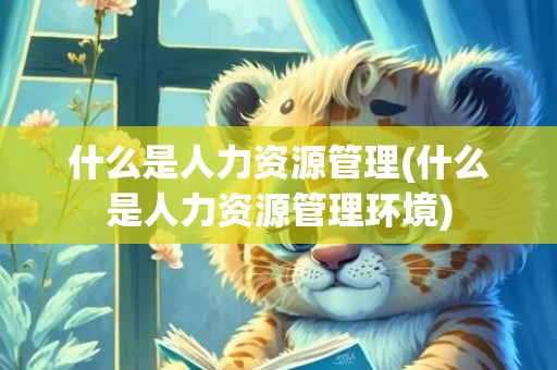 什么是人力资源管理(什么是人力资源管理环境)