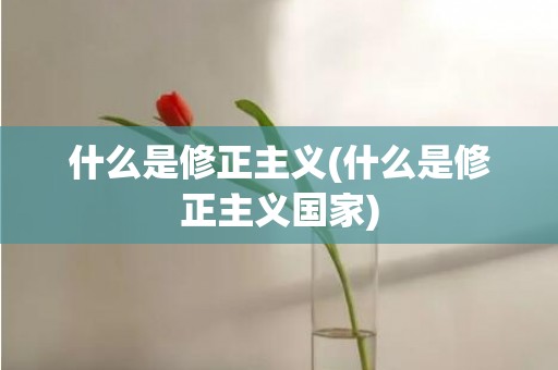 什么是修正主义(什么是修正主义国家)
