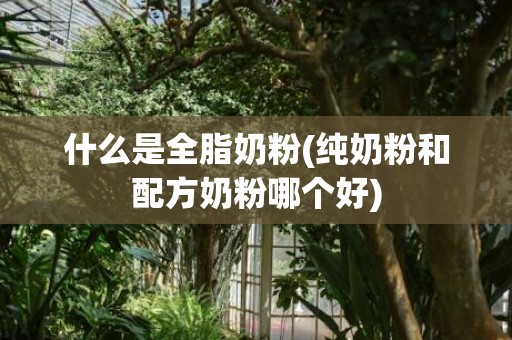 什么是全脂奶粉(纯奶粉和配方奶粉哪个好)