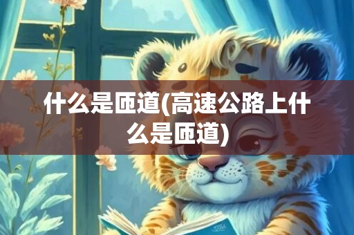 什么是匝道(高速公路上什么是匝道)