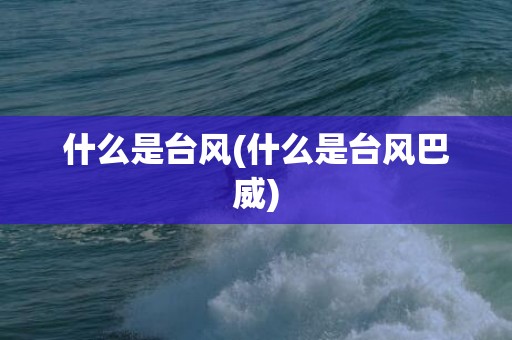 什么是台风(什么是台风巴威)