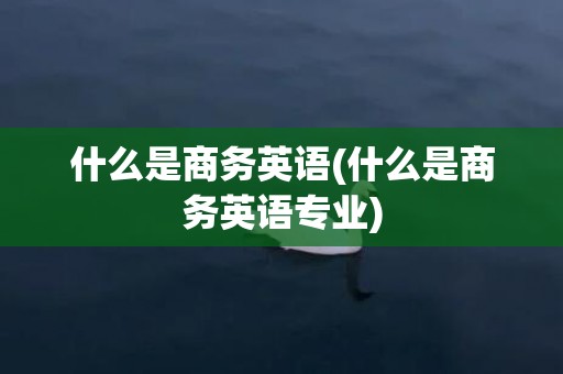什么是商务英语(什么是商务英语专业)