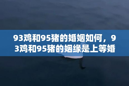 93鸡和95猪的婚姻如何，93鸡和95猪的姻缘是上等婚姻吗