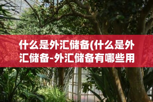 什么是外汇储备(什么是外汇储备-外汇储备有哪些用途-)