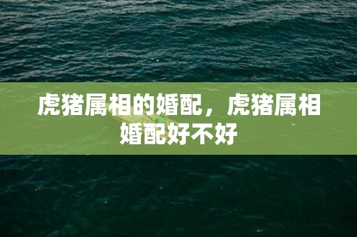 虎猪属相的婚配，虎猪属相婚配好不好