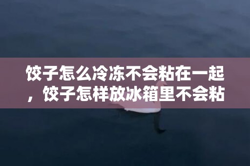 饺子怎么冷冻不会粘在一起，饺子怎样放冰箱里不会粘在一起
